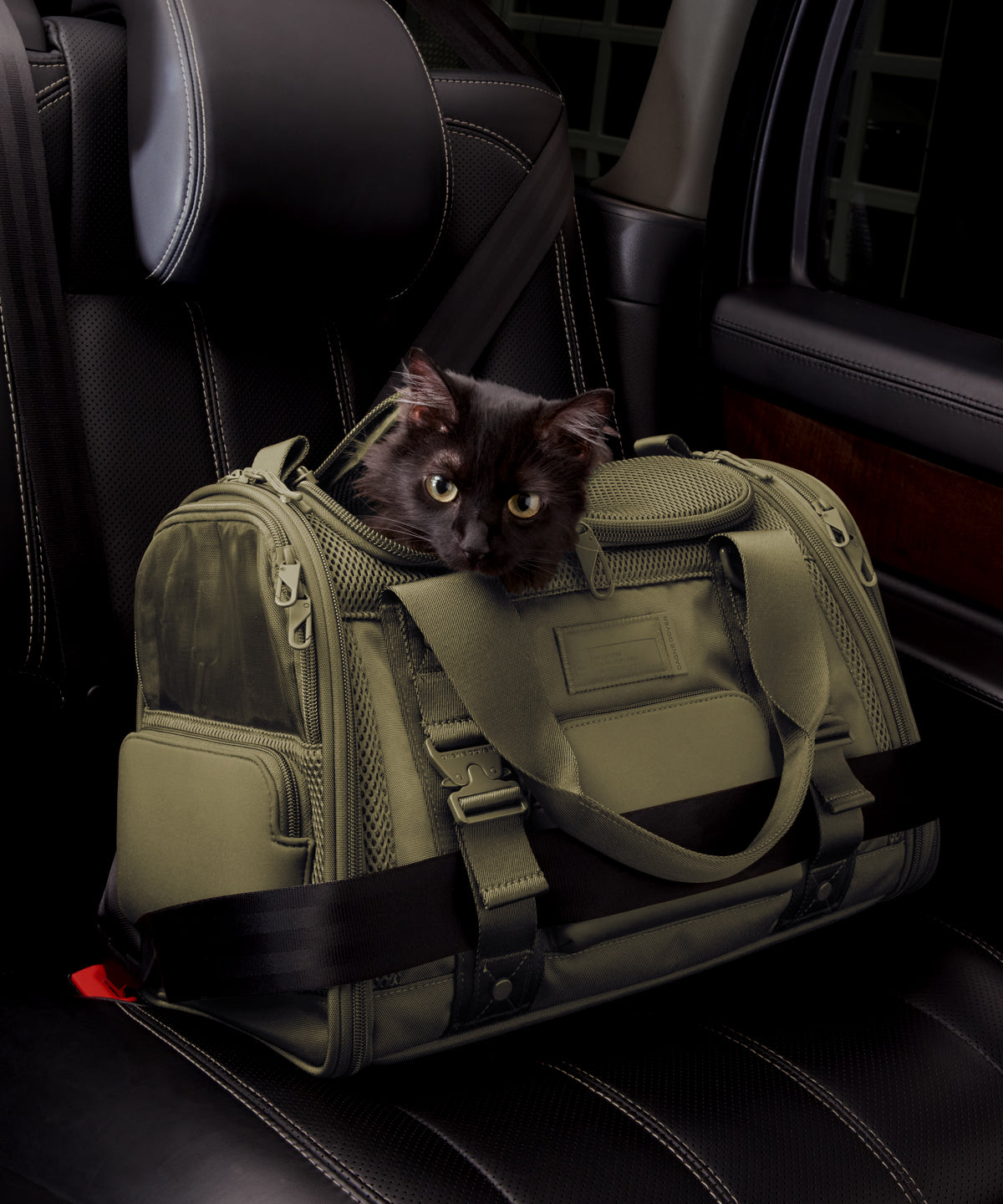 Kyoto Pet Carrier in Dark Moss. Small - Image 9